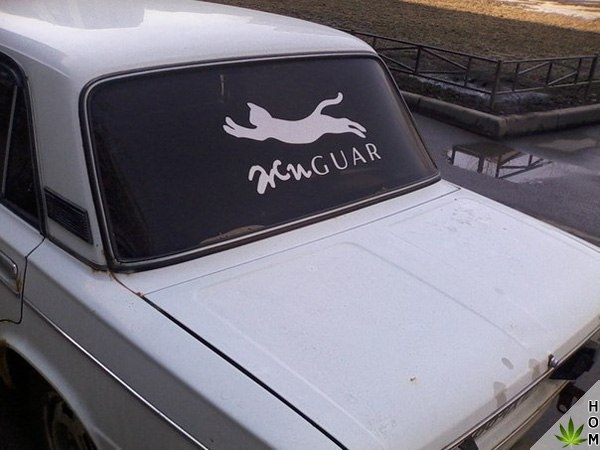 Прикольные надписи и объявления