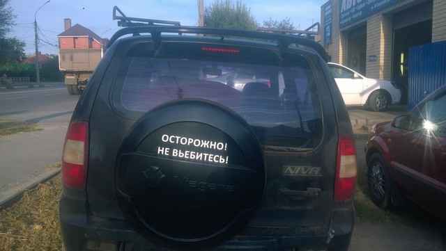 Лента прикольных картинок