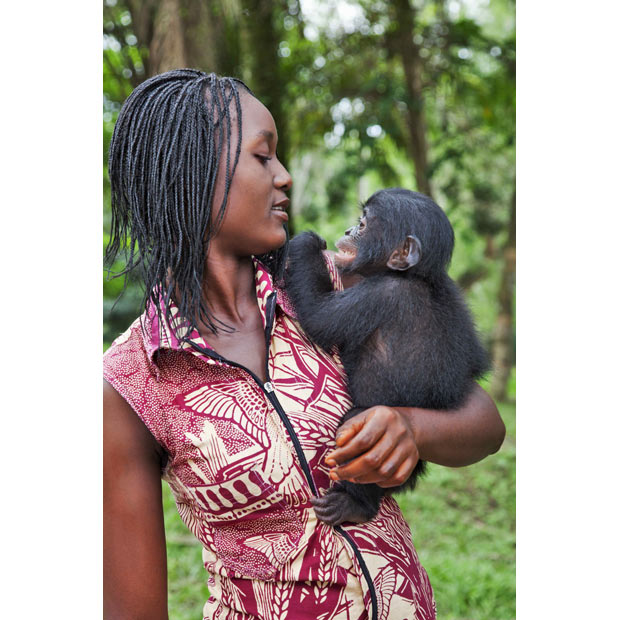 Заповедник Lola ya Bonobo в Конго