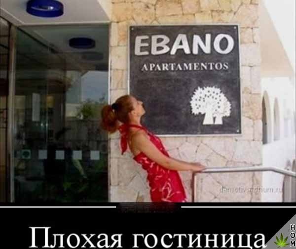 Прикольные картинки абавсём