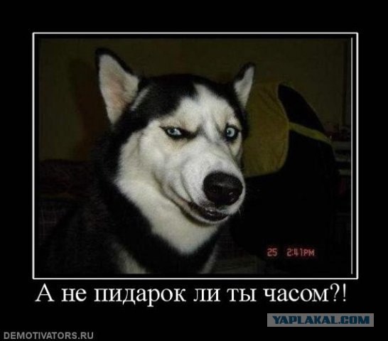 Дома никого нет!