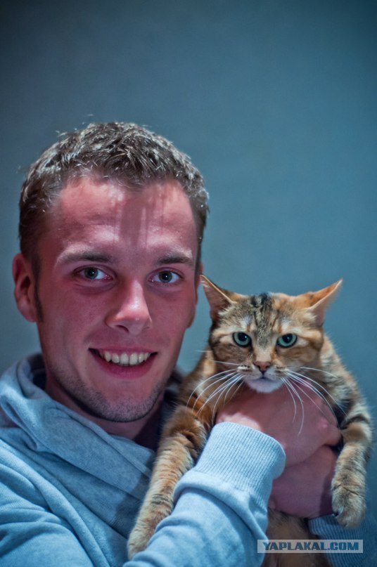 Котовторник 19.02.2013