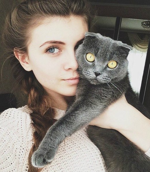Забавные фото котеек