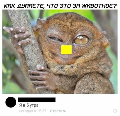 Картинки с надписями, истории и анекдоты 08.10.19