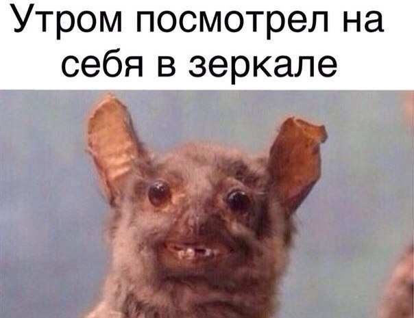Древние мемы с ВК. Для тех кто забыл #6