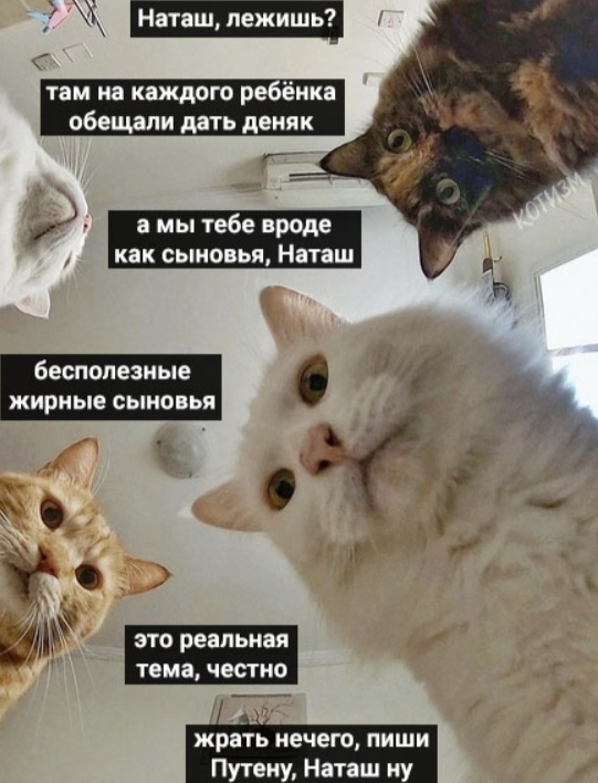Картинки всякие разные от 14.05.2020