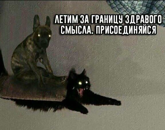 Дурацкие картинки