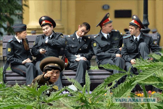 Вот вам!