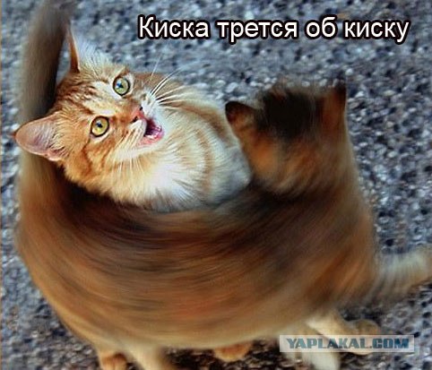 Шокирующее ПОРНО! 21+ фото