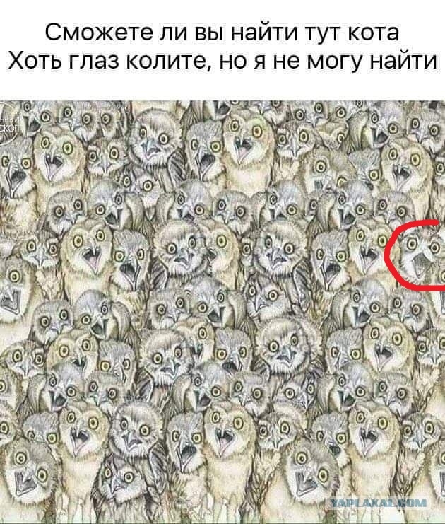 Бредзона 25.09.2020