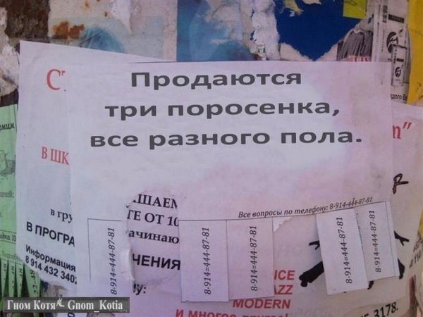 Подборка старых мемов и баянов