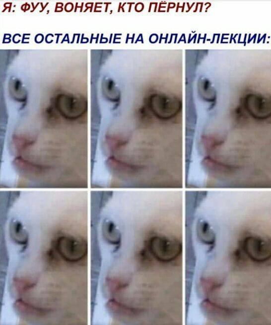 С новым...