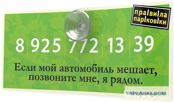 Не растерялись