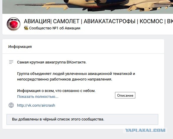 Авиа-ЯП, помоги! Котёночка обидели