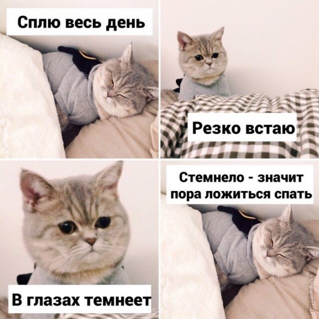 Картинки и мемы для настроения 14.08.2021