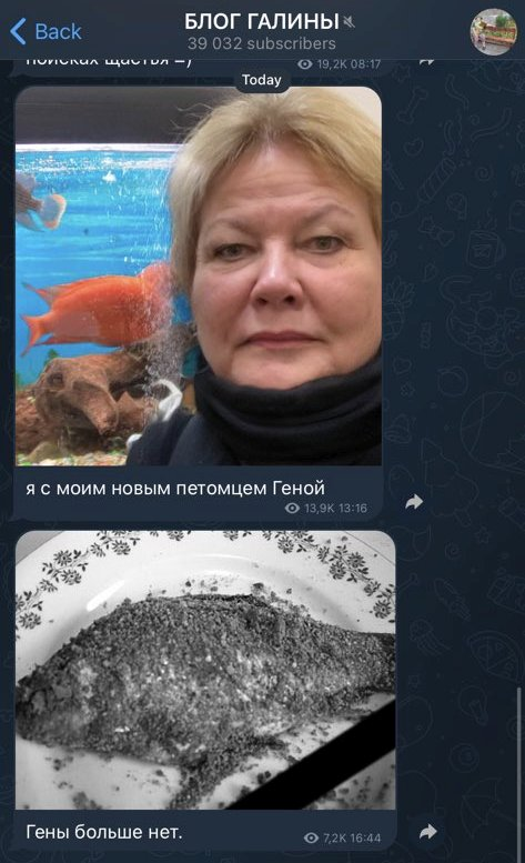 Наконец-то нормальный запоминающийся мануал