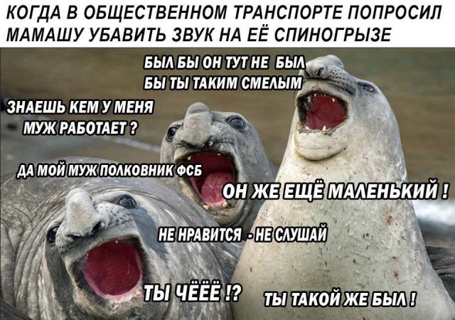 Так себе картинки 12.10.21