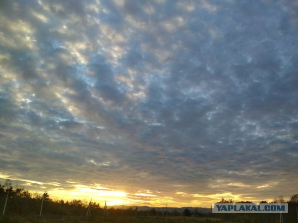Рассветы. Закаты. Фото