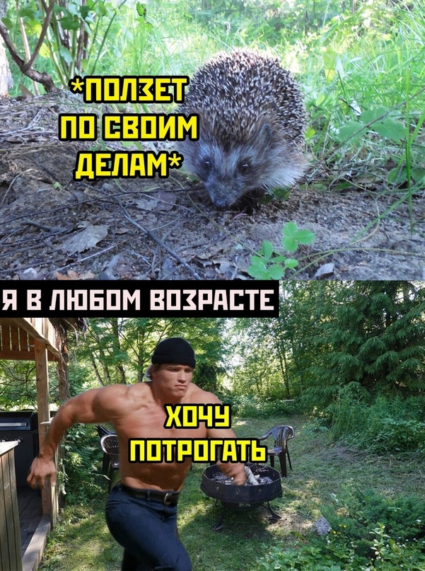 Картинки и мемы для настроения - 17