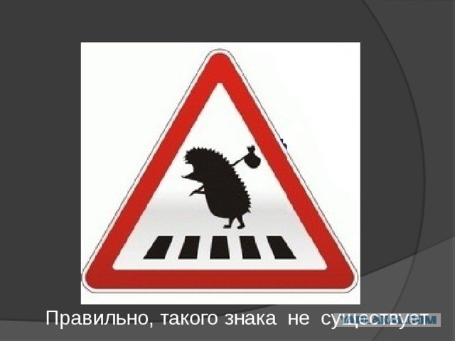 Осторожно, ёжики