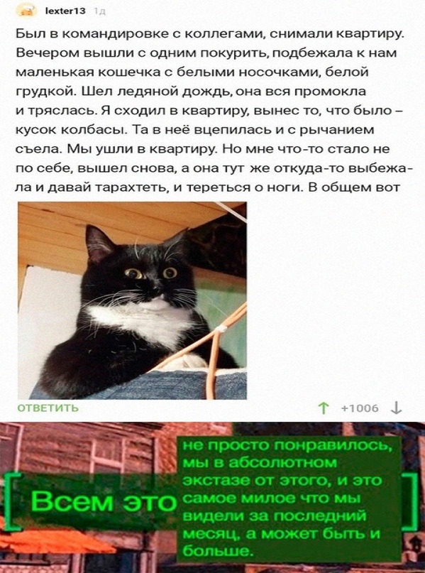 Немного картинок для настроения
