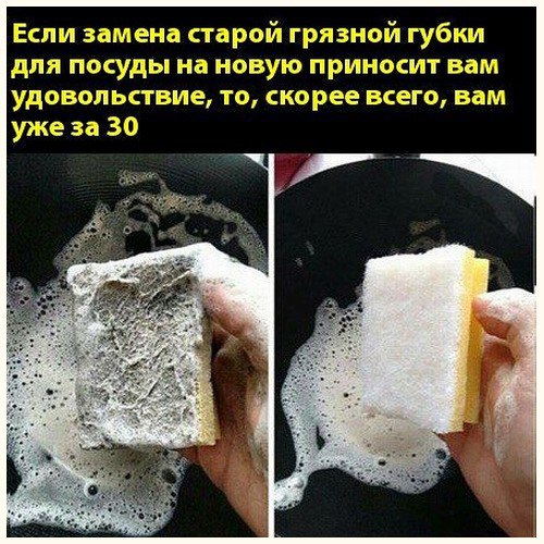 Прикольные баяны