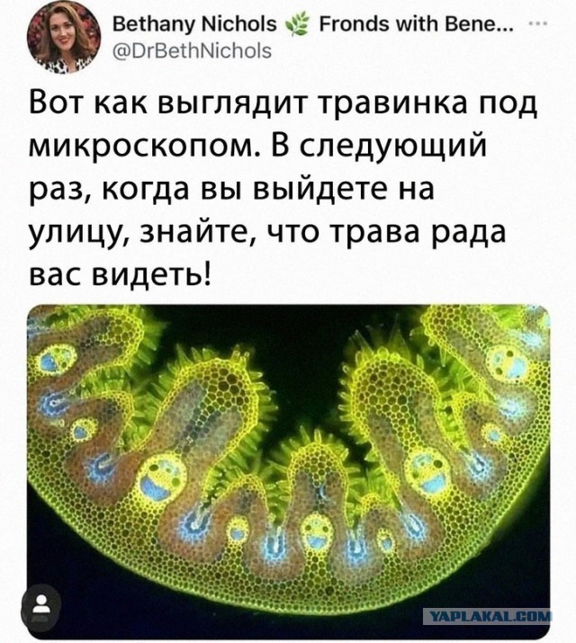 Картинки и мемы, всем хороших выходных