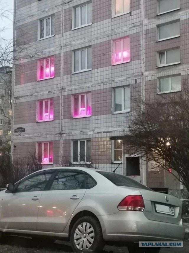 Нуштош 06.04.2023