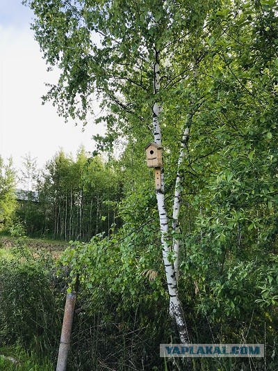 Хочешь узнать, как женщина занимается сексом? Посмотри на то, как она ест