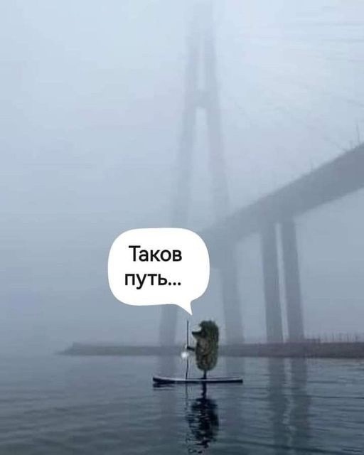 Так себе картинки 15.12.23