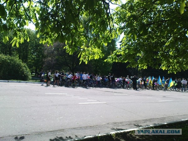 Первомайская монстрация 2013