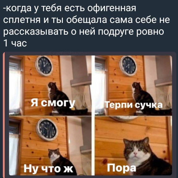 Всего понемногу. От 26.01.24