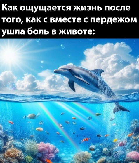 Всего понемногу. От 23.08