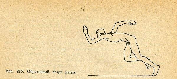 Жить по инструкции