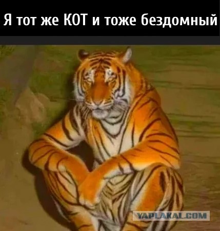 Почувствуйте разницу