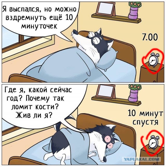 Завалялось тут случайно немного забавных картинок