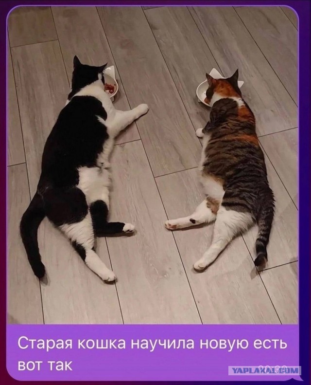 Завалялось тут случайно немного забавных картинок