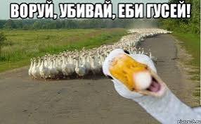 Манифест от отчаявшегося ЯПовчанина Сова82
«Даёшь деградацию! Вернём ЯП в истоки!»