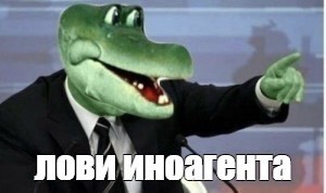 Обожаю поезда. Особенно плацкарт