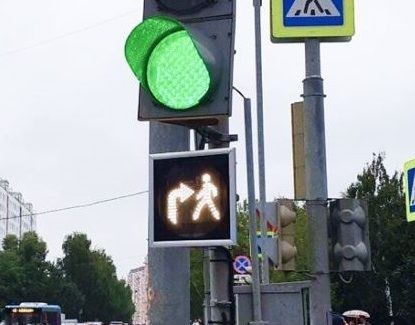 Какие они умные!