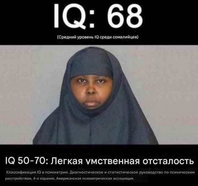 Россия заняла 6-е место в мире по уровню IQ
