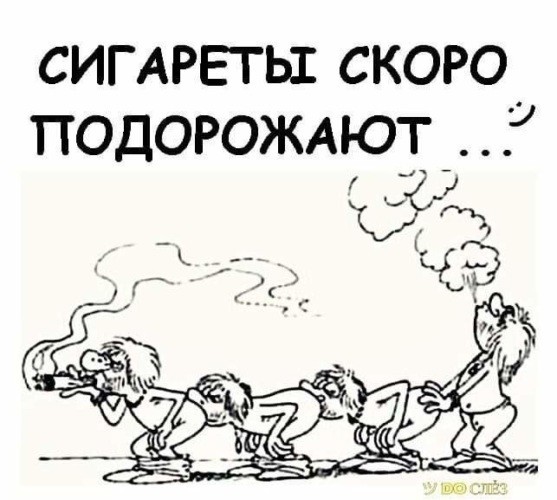 Торседор
