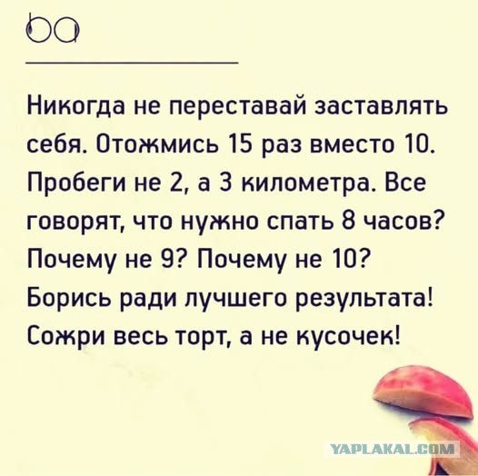 Картинки для деградации 242 (разной степени свежести)