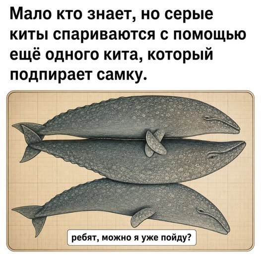 Картинки на среду