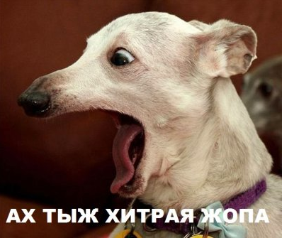 "Ты меня не так понял"