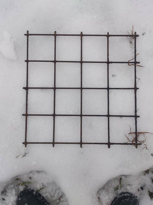 Самостоятельный гон.