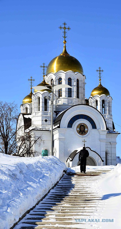 Мое хобби