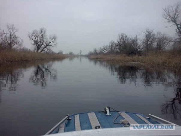 Открытие сезона рыбалки!