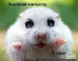 Когда вы плюсуeтe тему в платине
