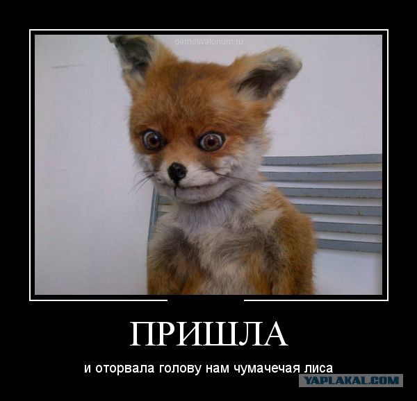 Чёрт, чёрт, чёрт!